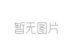 从“跟跑”“并跑”到“领跑” 湖南轨道交通“驶向”全球